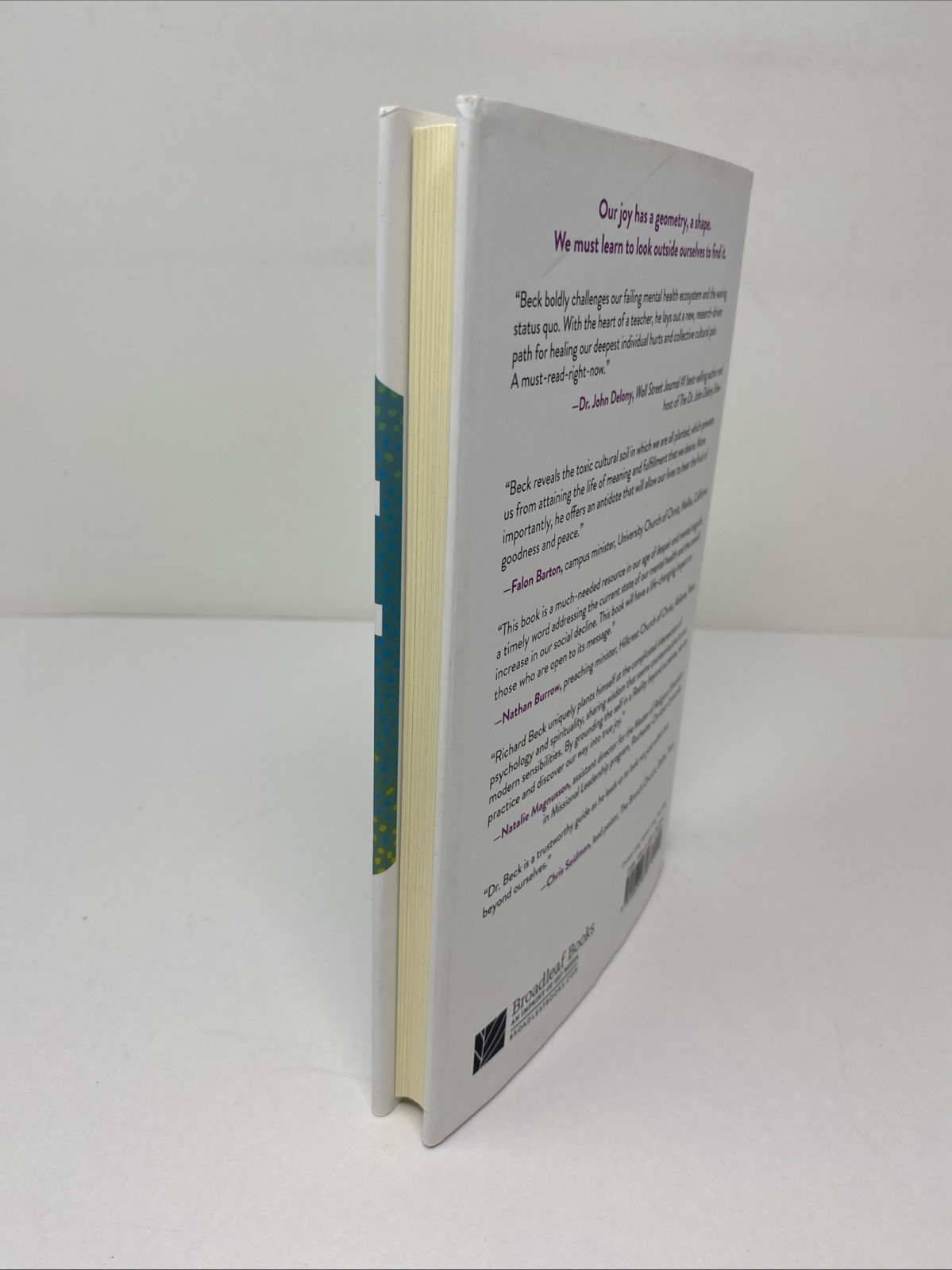 Shape of Joy Richard Beck Hardcover 2024 Spiritual Growth Broadleaf