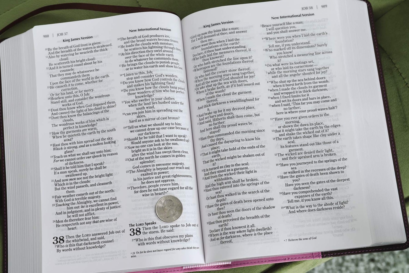 NIV, KJV, Parallel Bible, Large Print, Leathersoft, Pink/Brown: The World’s T…