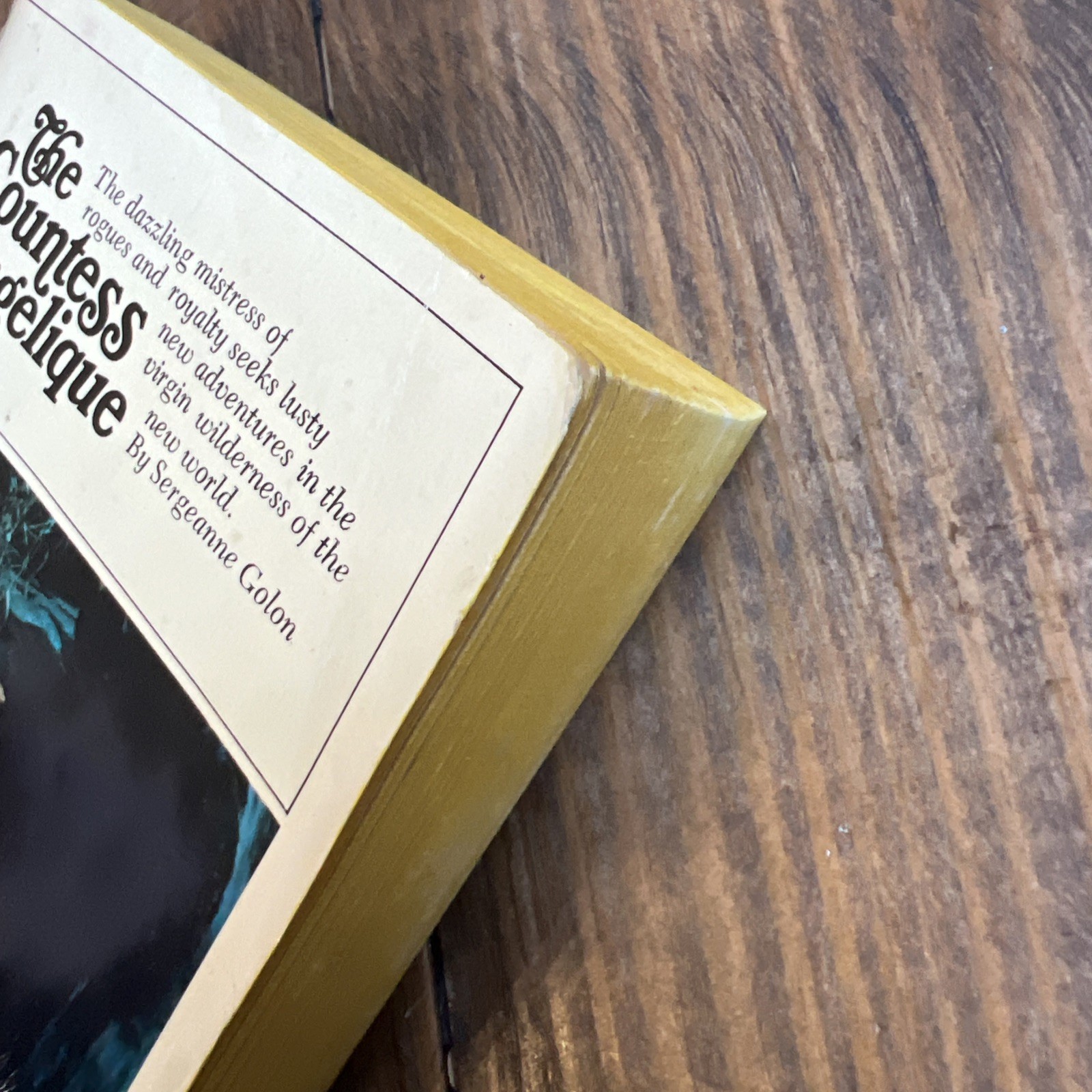 Countess Angelique Sergeanne Golon 1969 Bantam Paperback Historical Romance