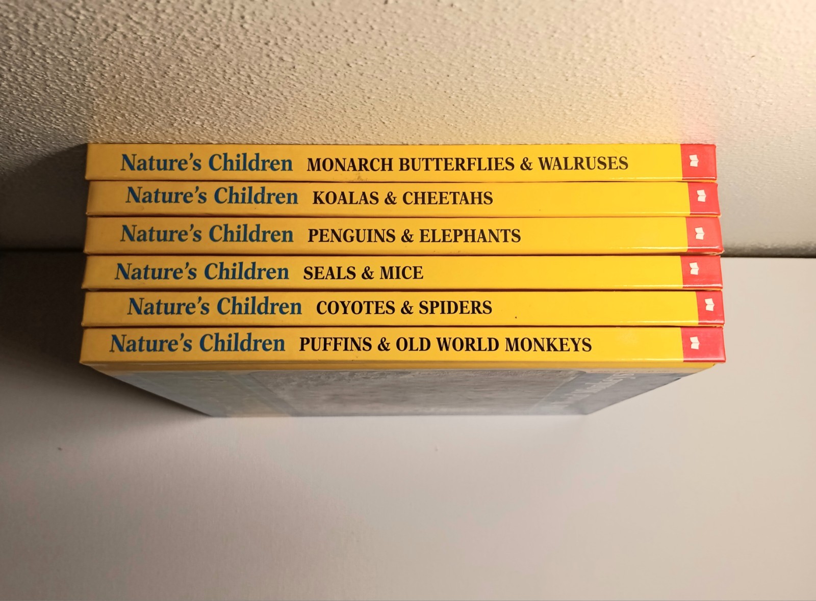 Scholastic Getting to know Nature’s children Animal Books Lot of 6 (hard cover)