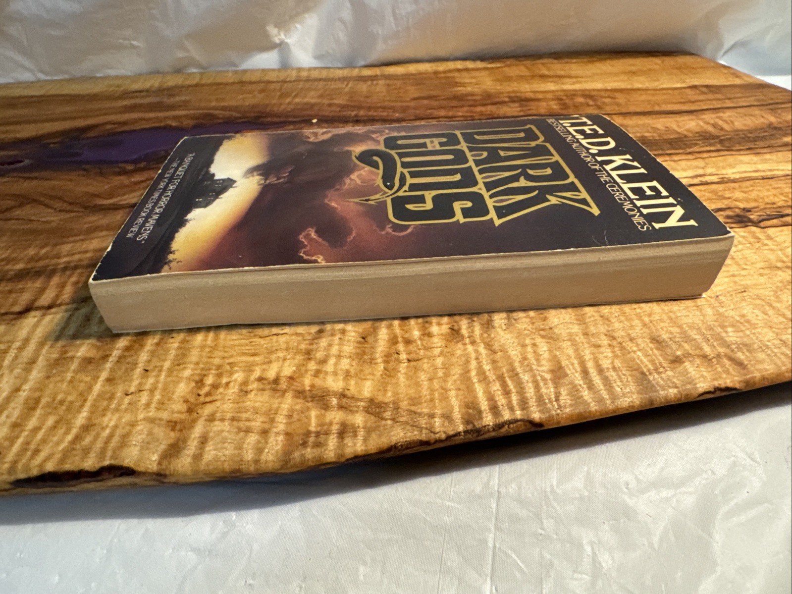 Dark Gods by T.E.D. Klein (1986 Bantam Edition) Vintage Horror Paperback Book