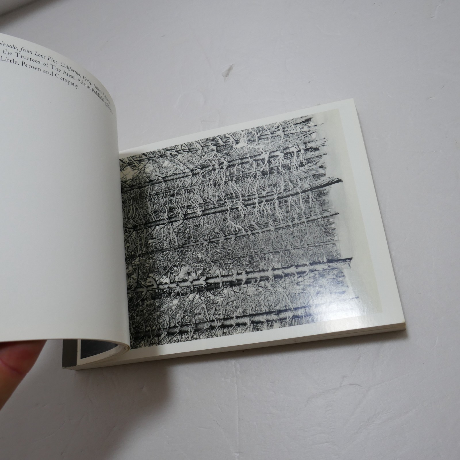 Ansel Adams: Thirty Photographs : A Postcard Folio Book