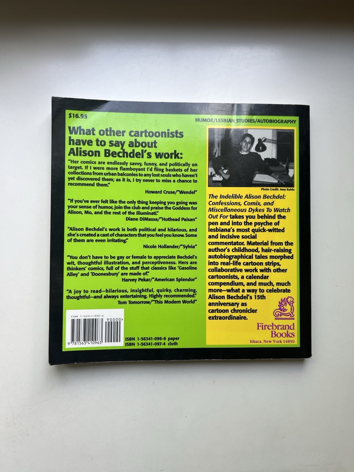 The Indelible Alison Bechdel Confessions Comix and Miscellaneous Dykes Paperback