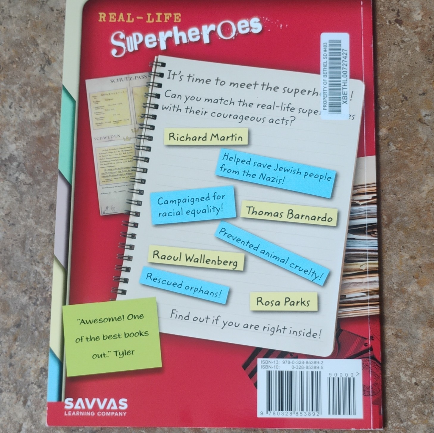 Real-Life Superheroes Alison Hawes PB Illustrated Civil Rights Biography 2001