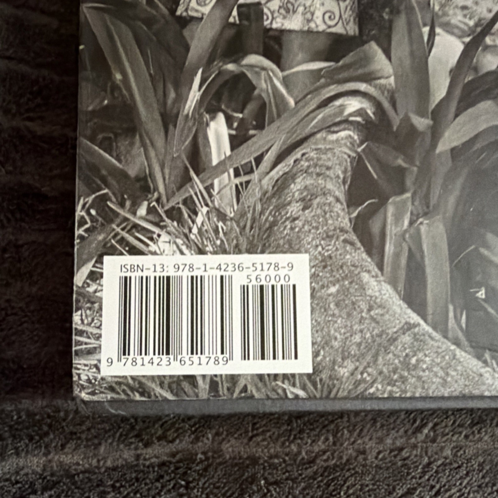 Gibbs Smith Betty Kuhner: The American Family Portrait Stolman/Kuhner HC 2019