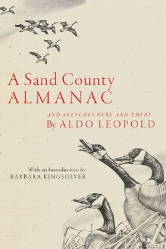 A Sand County Almanac: And Sketches Here and There – Paperback – VERY GOOD