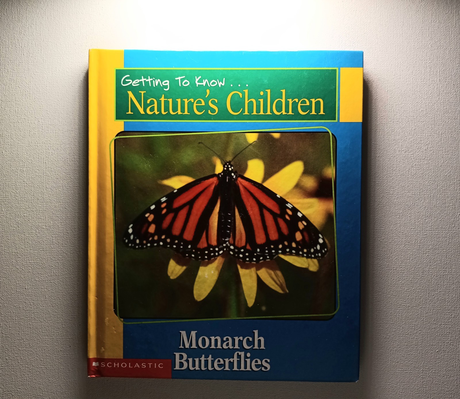 Scholastic Getting to know Nature’s children Animal Books Lot of 6 (hard cover)