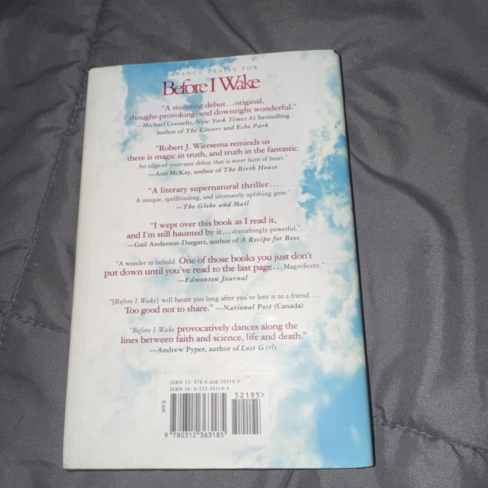 Before I Wake by Robert J. Wiersema (2007, Hardcover)