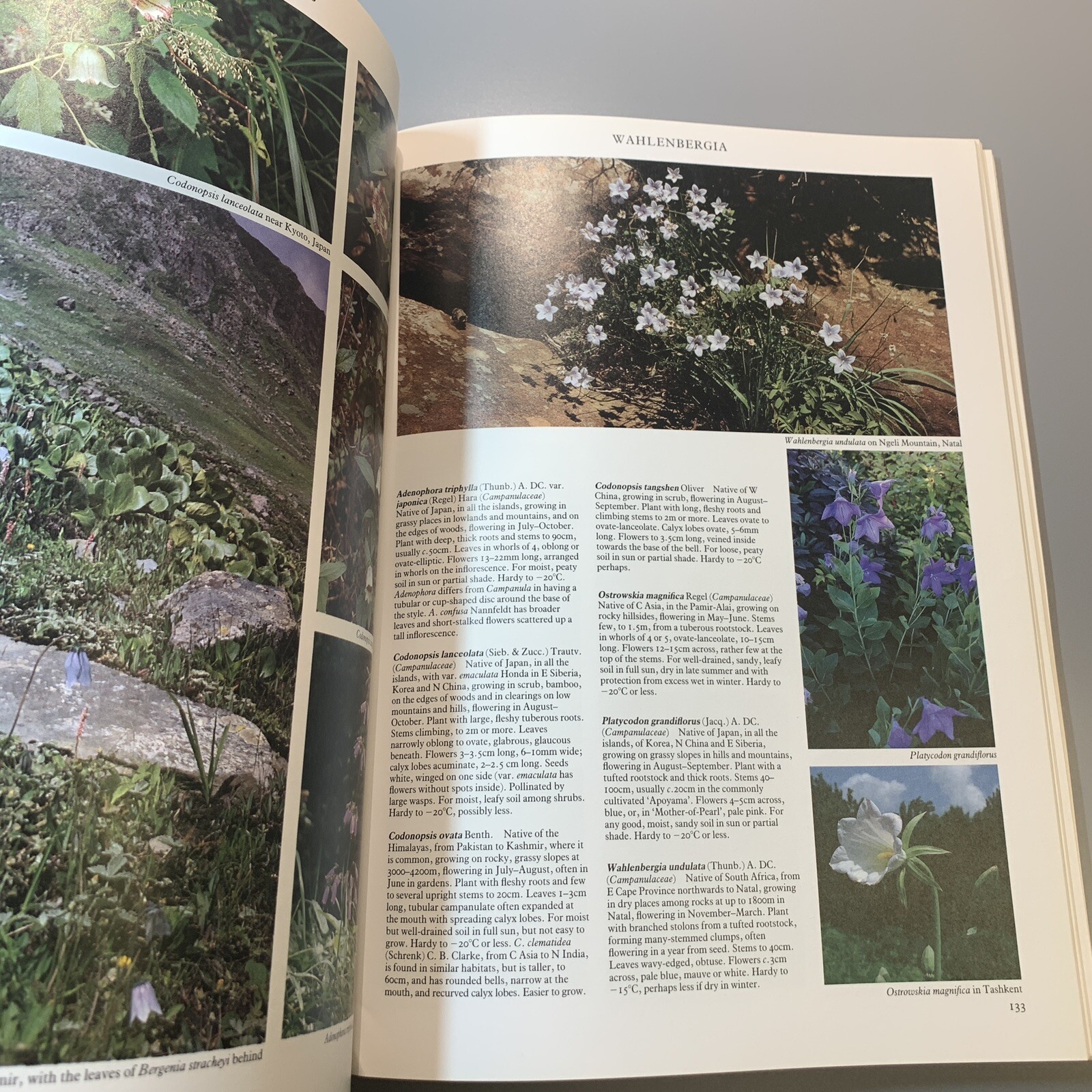 Random House Book of Perennials Vol 2, 1991, Roger Phillips 240 pages (402)