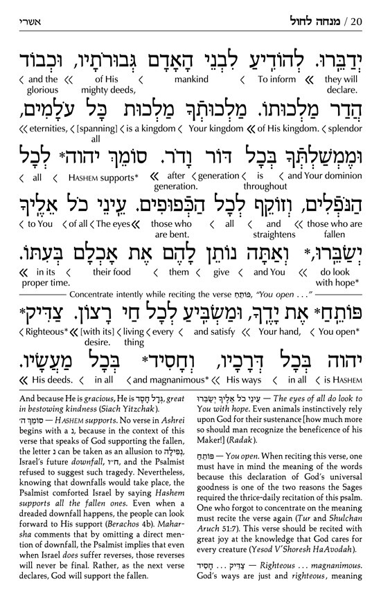 Artscroll Hebrew English Deluxe Interlinear Pocket Size Siddur &Tehillim Set