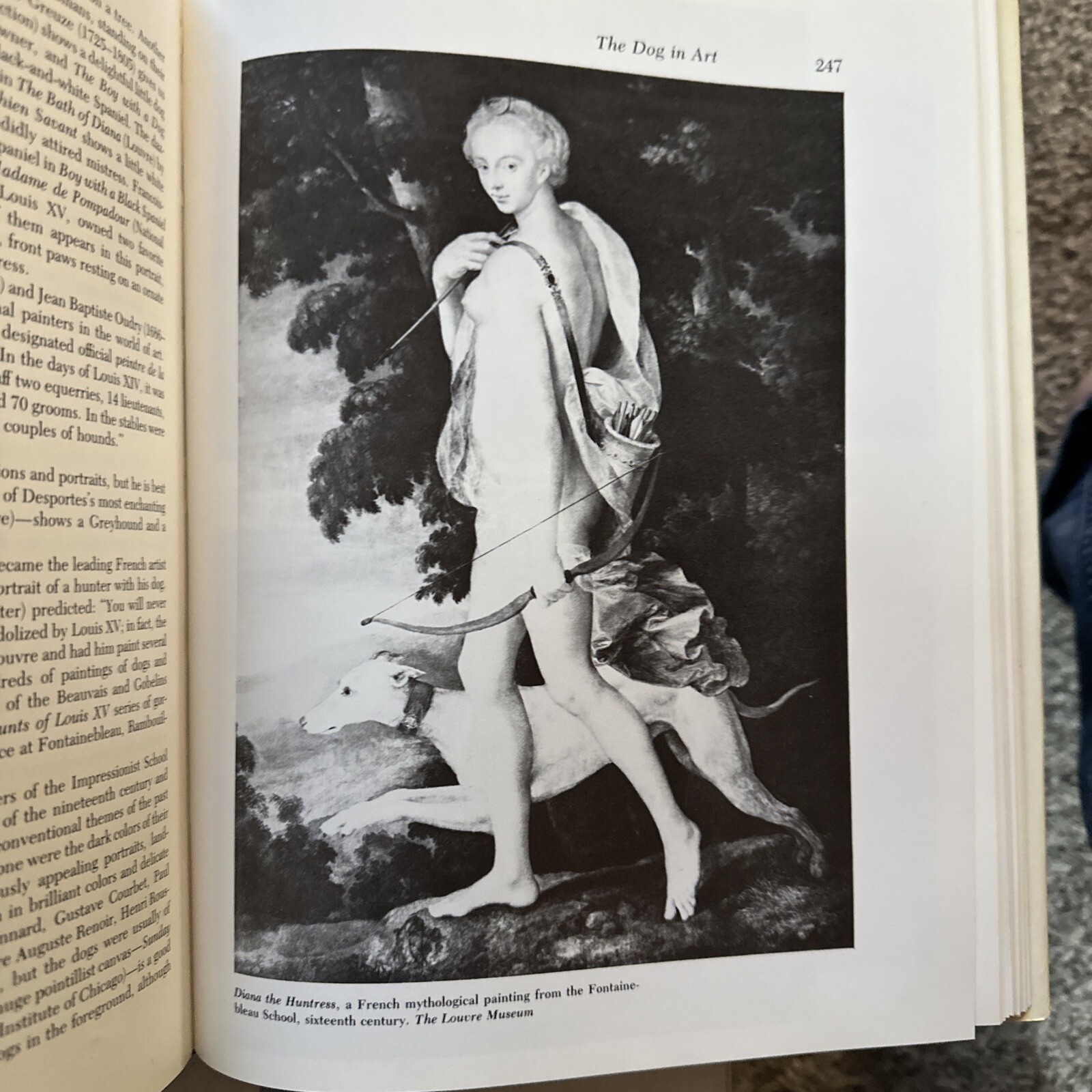 The Akc’s World Of The Purebred Dog Hardcover 1983. 344 Pages