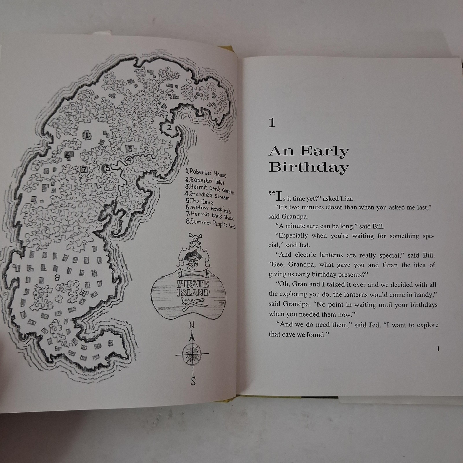 Vintage Hermit Dan Peggy Parish Childrens Mystery Green HC DJ 1977 USA Macmillan