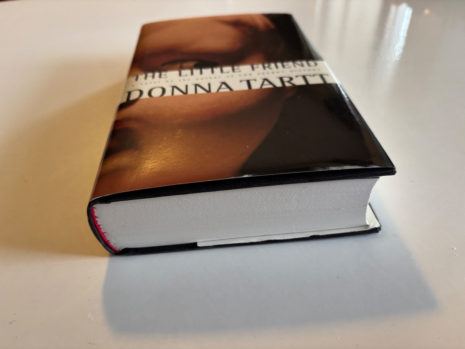 The Little Friend by DONNA TARTT 2002 1st Ed Hardcover DUST-JACKET BeautifulBook