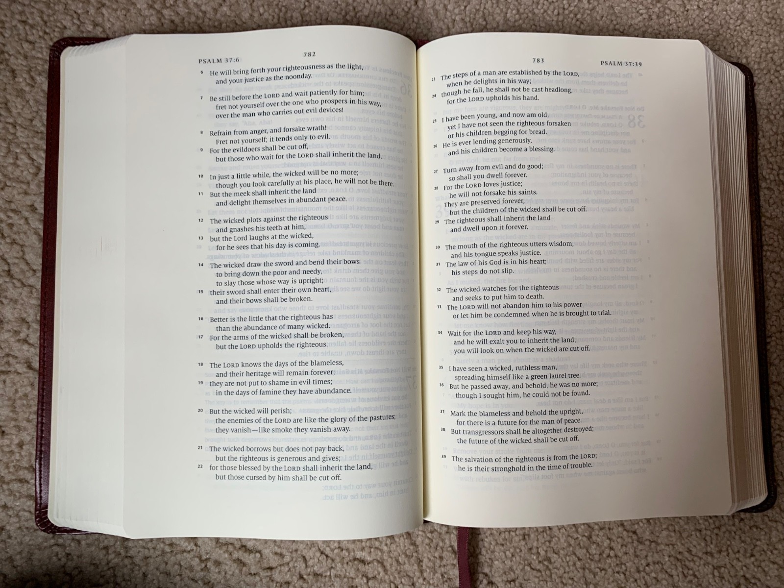 ESV Story of Redemption Bible TruTone 2018 Imitation Leather
