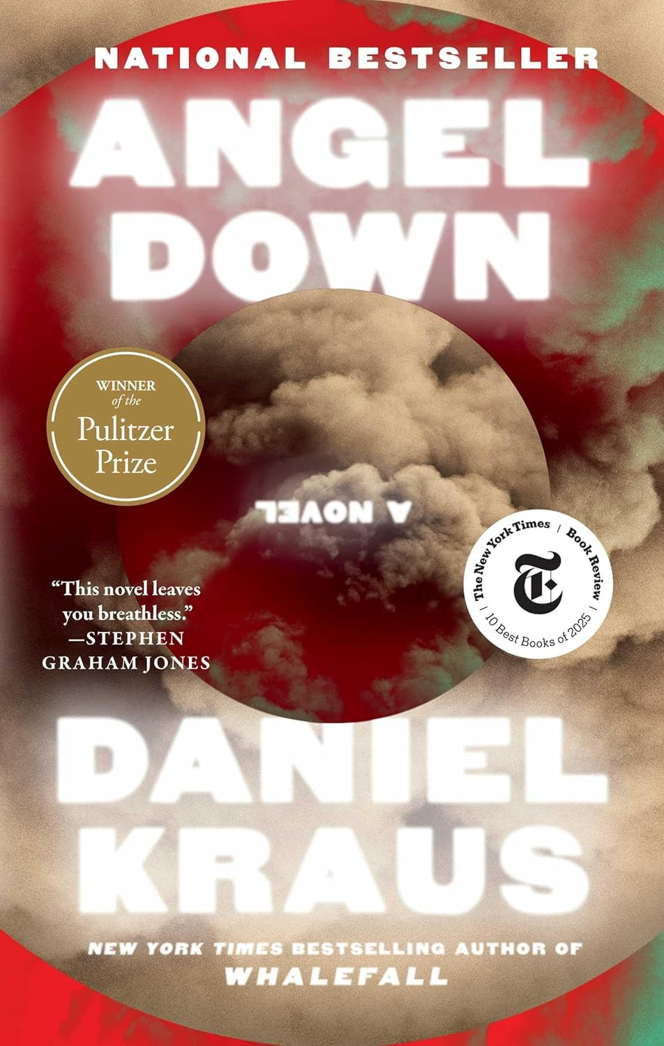 Angel down (Pulitzer Prize Winner): a Novel