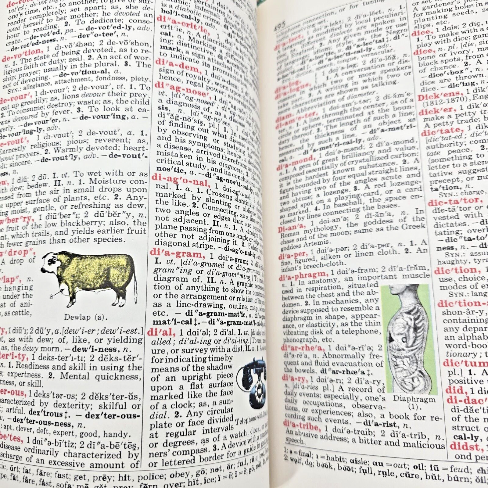 Funk And Wagnalls Standard Treasury of Learning Dictionary Animals More 5 Books