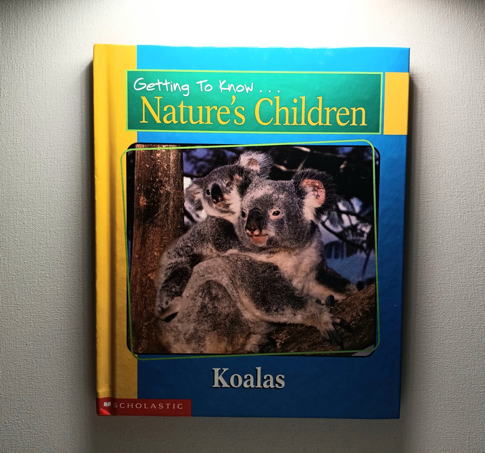 Scholastic Getting to know Nature’s children Animal Books Lot of 6 (hard cover)