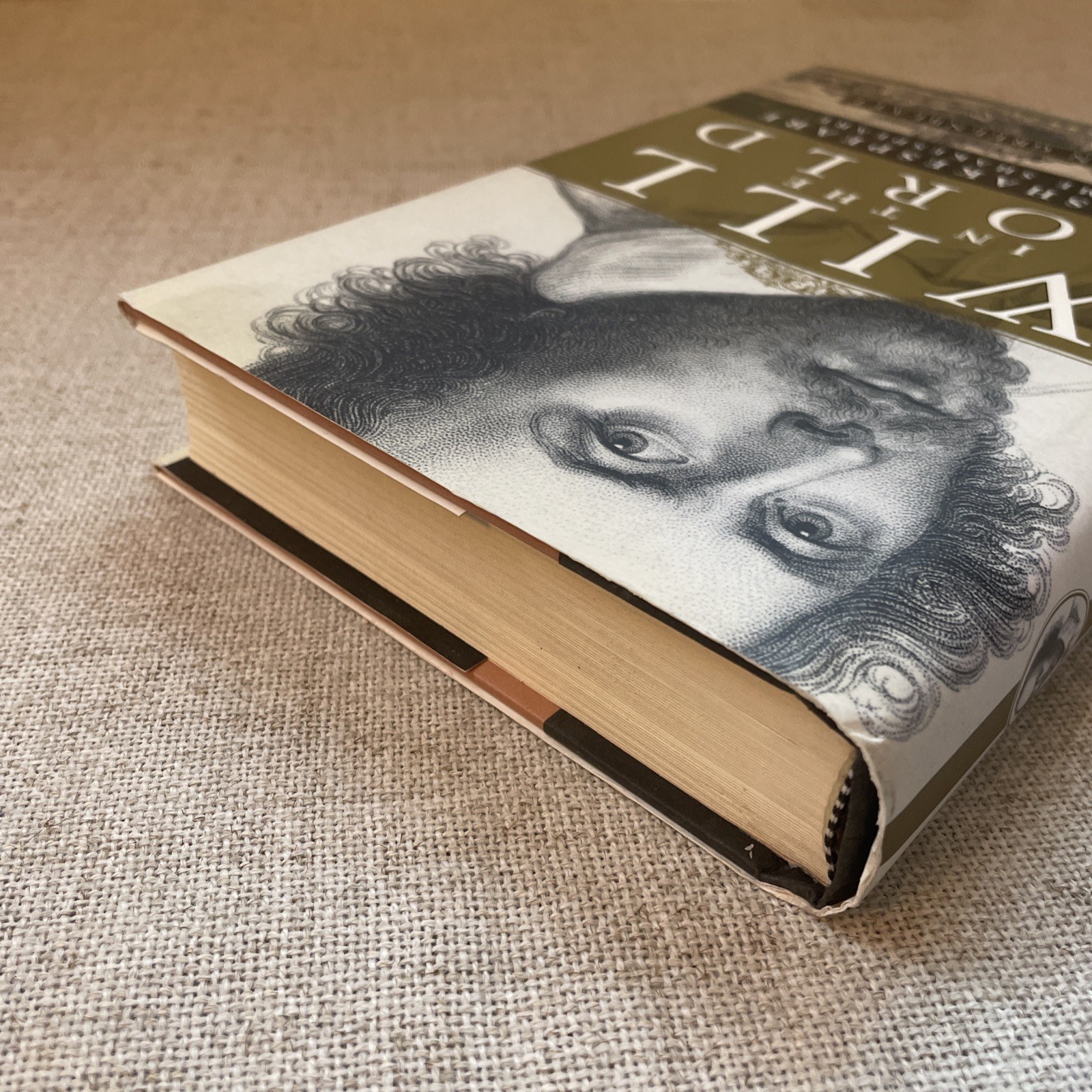 Will in the World by Stephen Greenblatt 2004 Hardcover First Edition Shakespeare