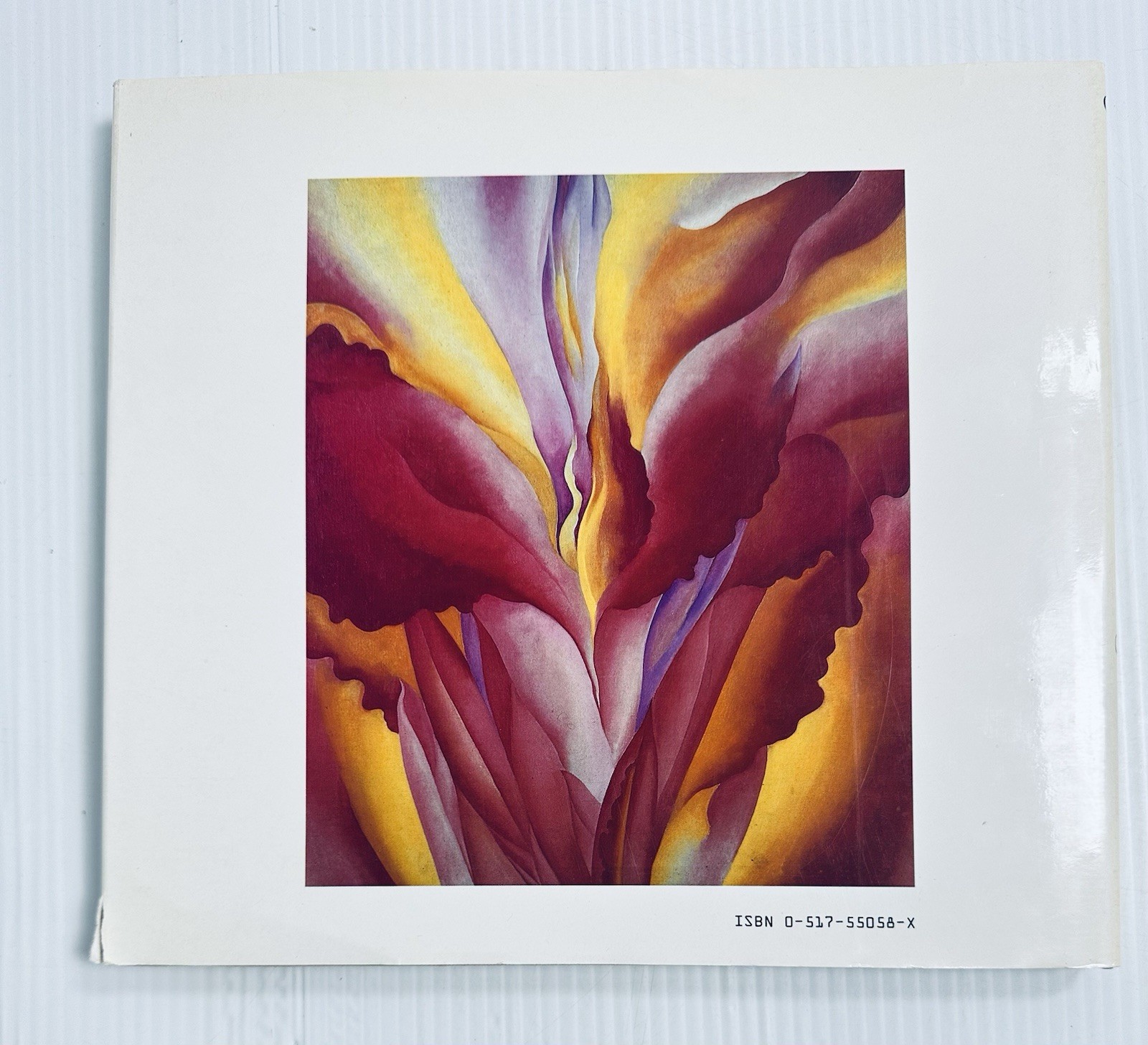 Georgia O Keeffe Art and Life Castro Book with 136 Color Illustrations Edition