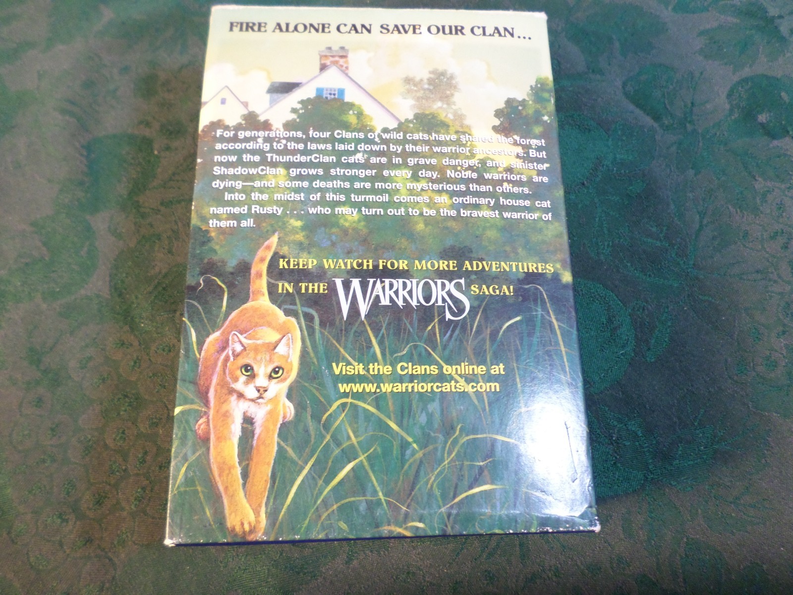 2004-3 Vol. Paperback Book Box Set-Warriors-Erin Hunter