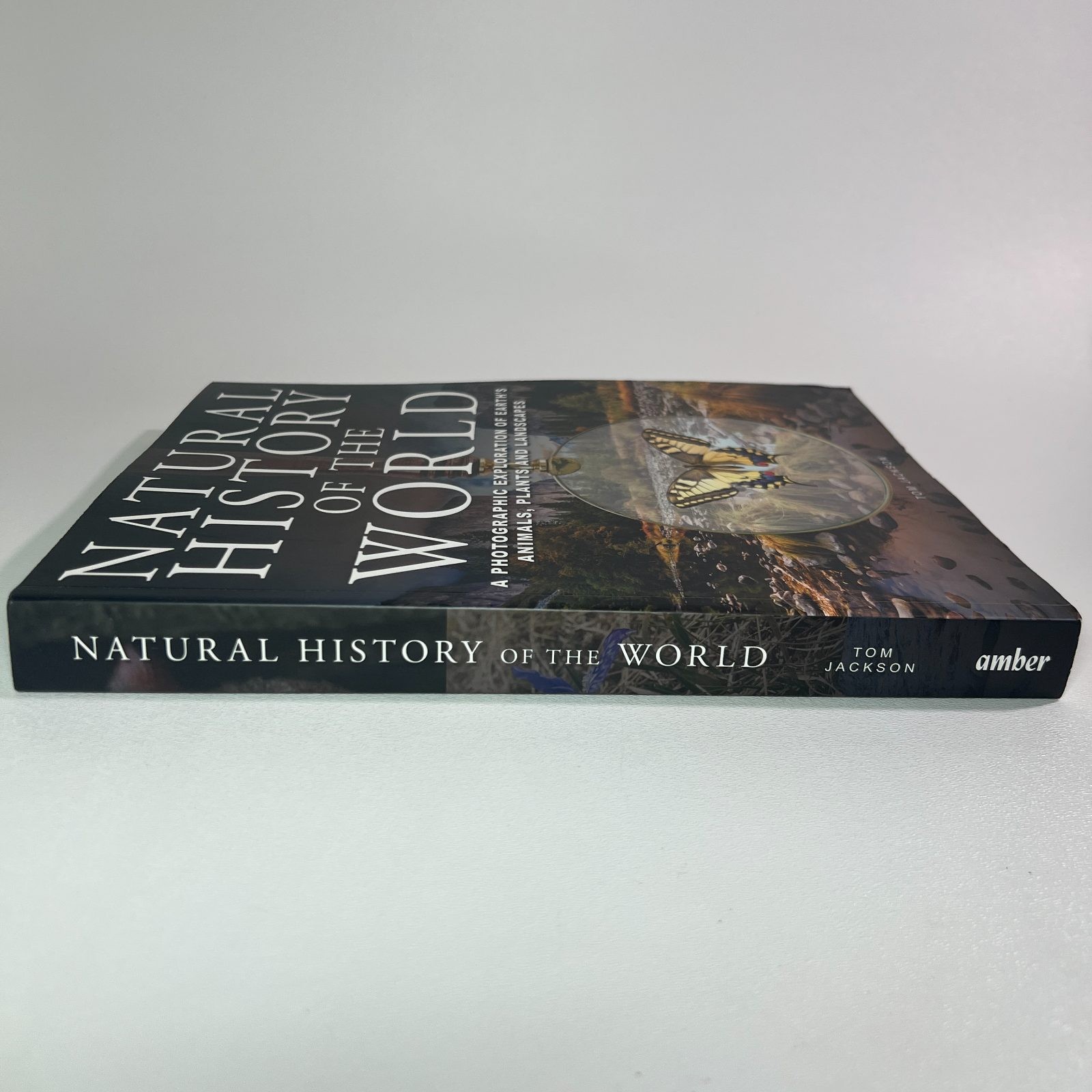 Natural History of the World Tom Jackson Hardcover 2025 Amber Books