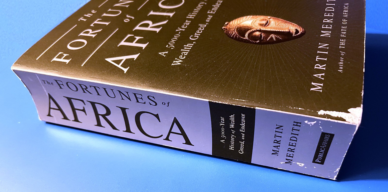The Fortunes of Africa—Meredith Martin, paperback—VG, some cover wear