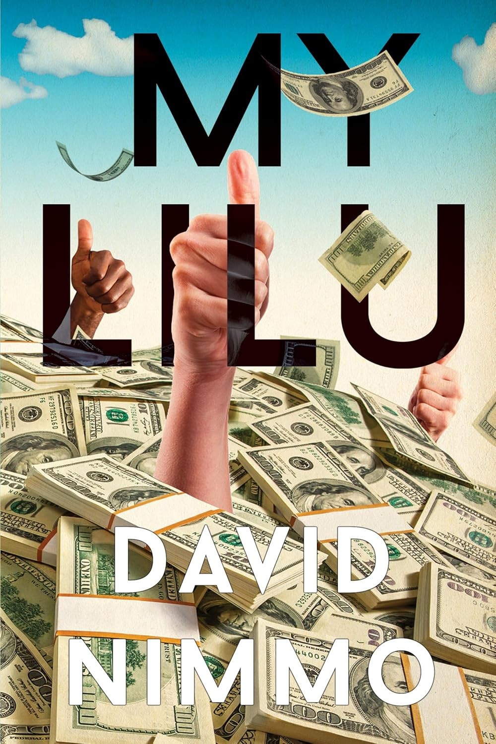 My Lilu David Nimmo 2024 Trade Paperback Fiction Book Olympia Publisher