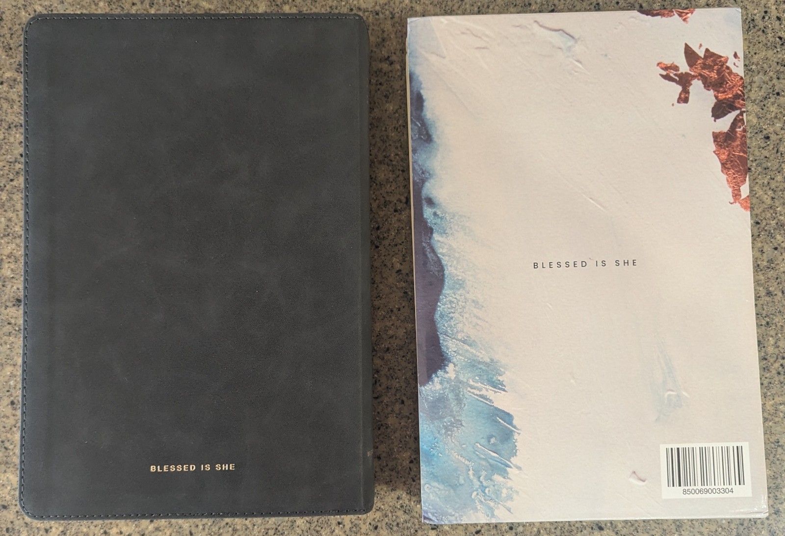 The Catholic Column Journaling Bible Blessed Is She Edition Slate Suede Cover