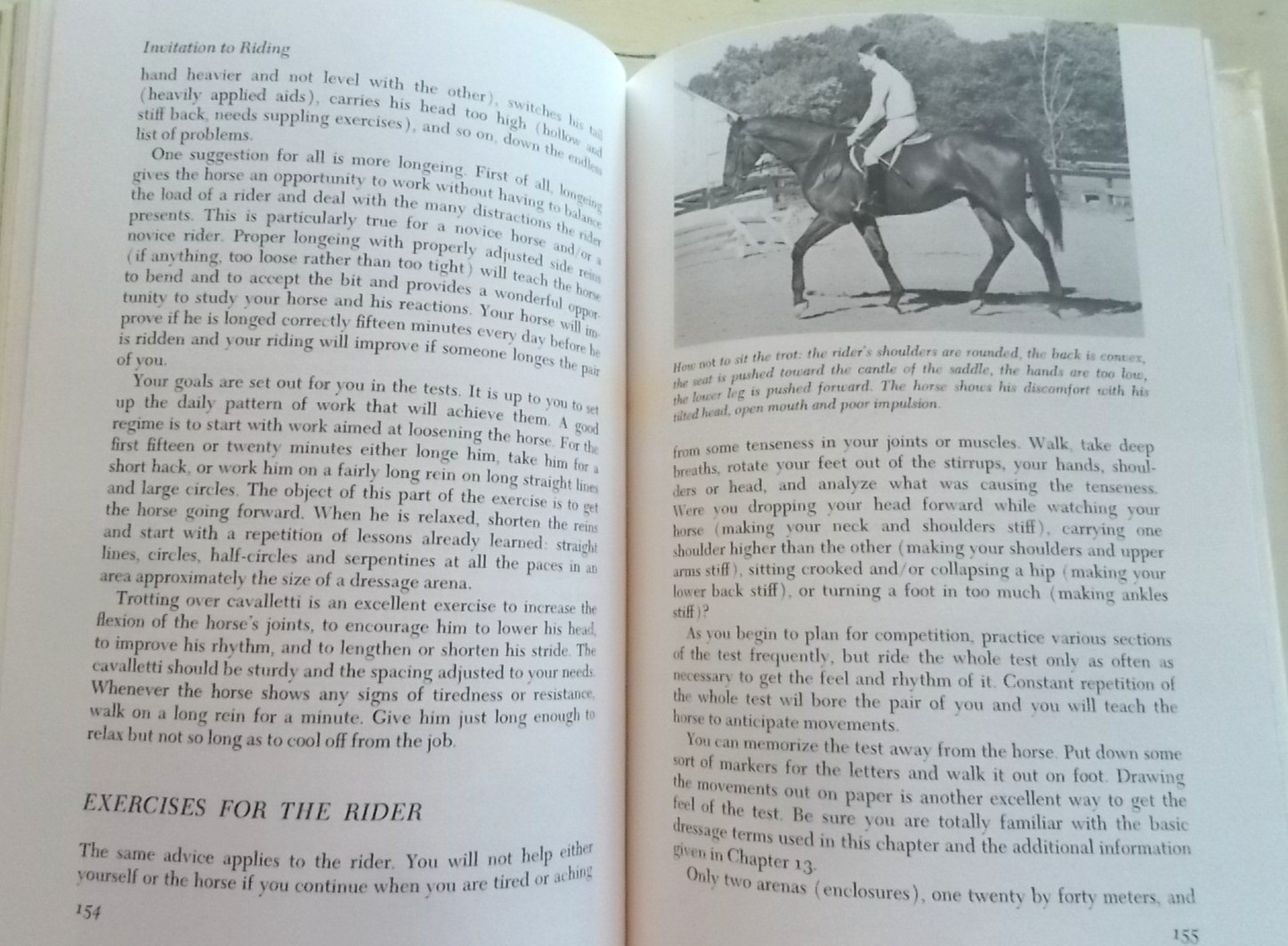Lot 7 Vintage Horse Riding Books Techniques Vet Genetics Dressage 3-Day Jumping