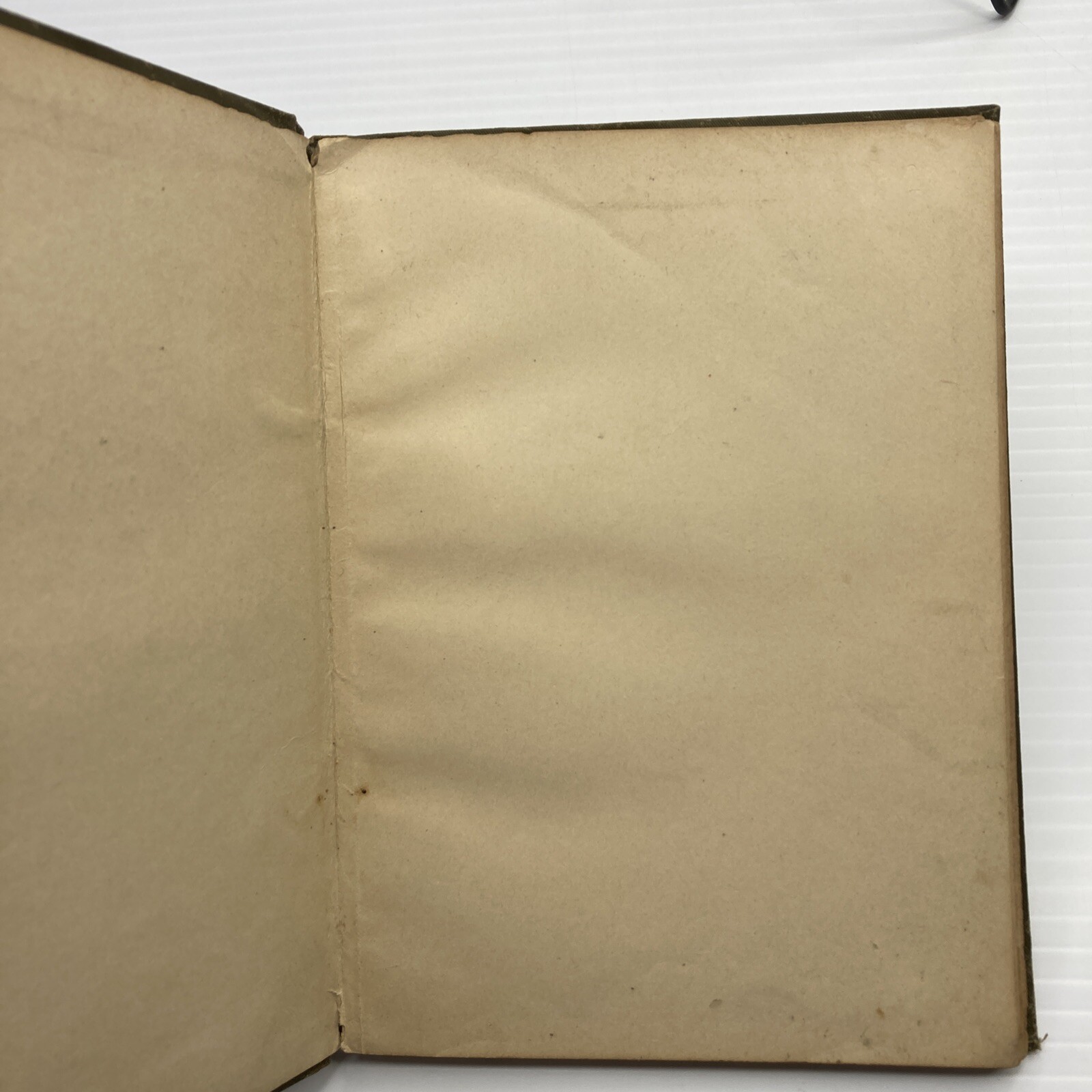 The Care and Feeding of Children L. Emmett Holt 1894 First Edition D. Appleton