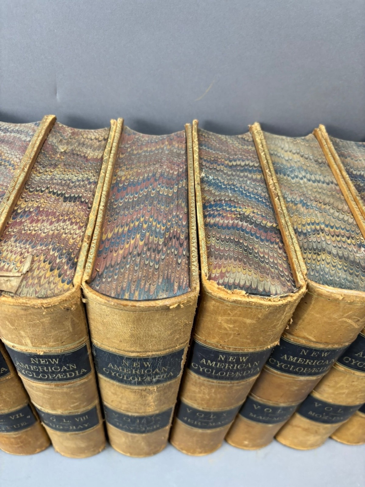 The New American Cyclopedia Compl 16 Vol Set D. Appleton & Co Early 1861 Leather