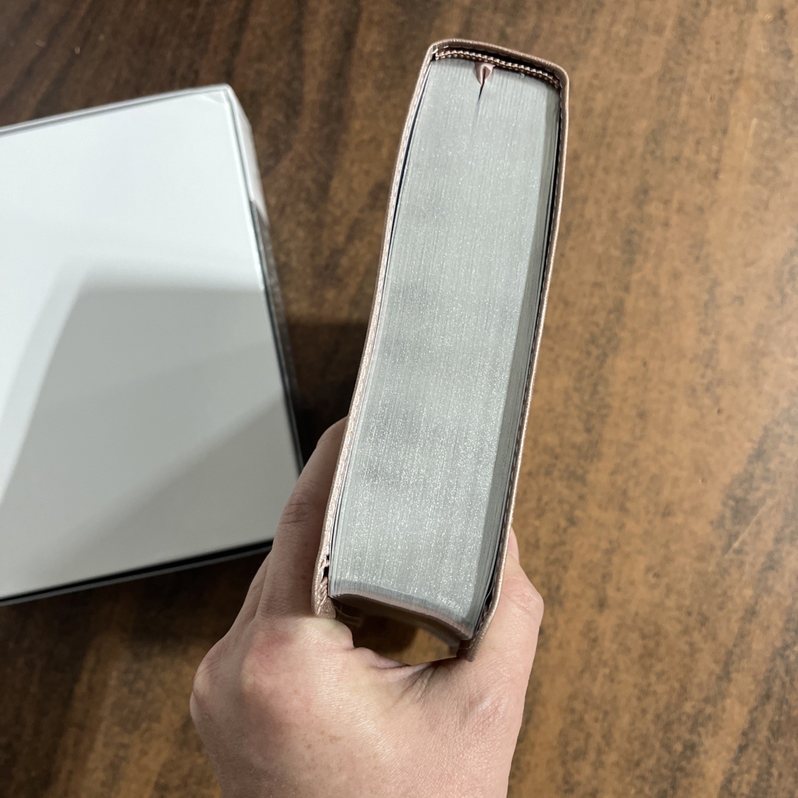 Amplified Joyce Meyer Everyday Life Study Bible – Blush LeatherLuxe