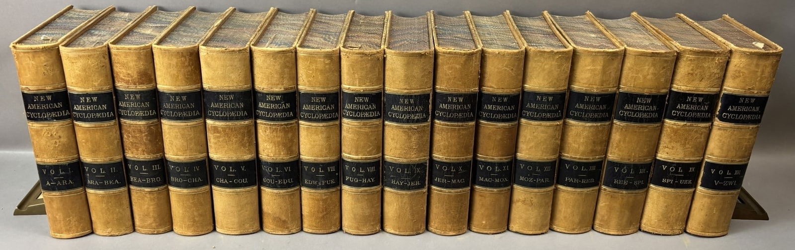 The New American Cyclopedia Compl 16 Vol Set D. Appleton & Co Early 1861 Leather