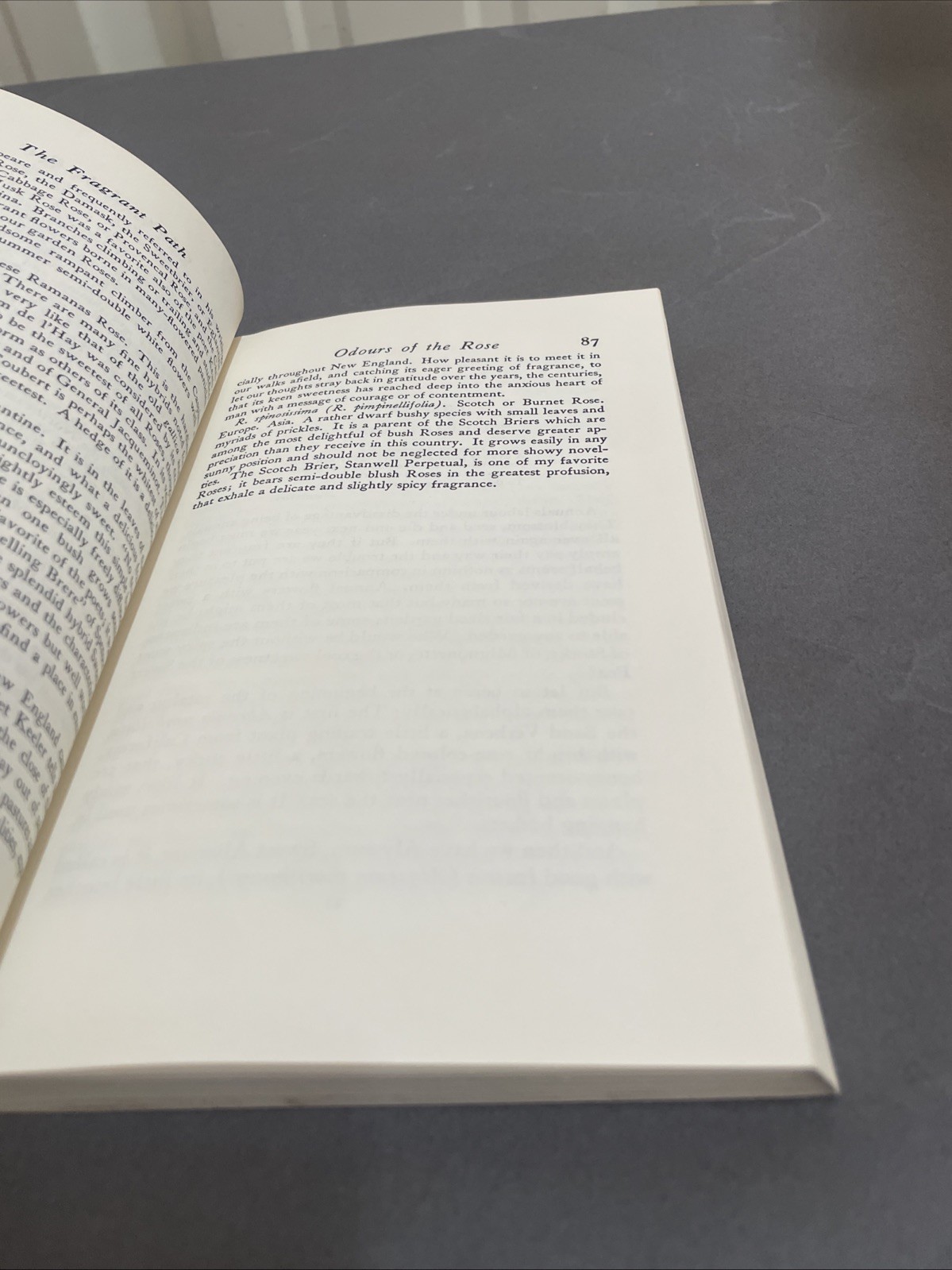 The Fragrant Garden,Louise Beebe Wilder Pb Dover 1974