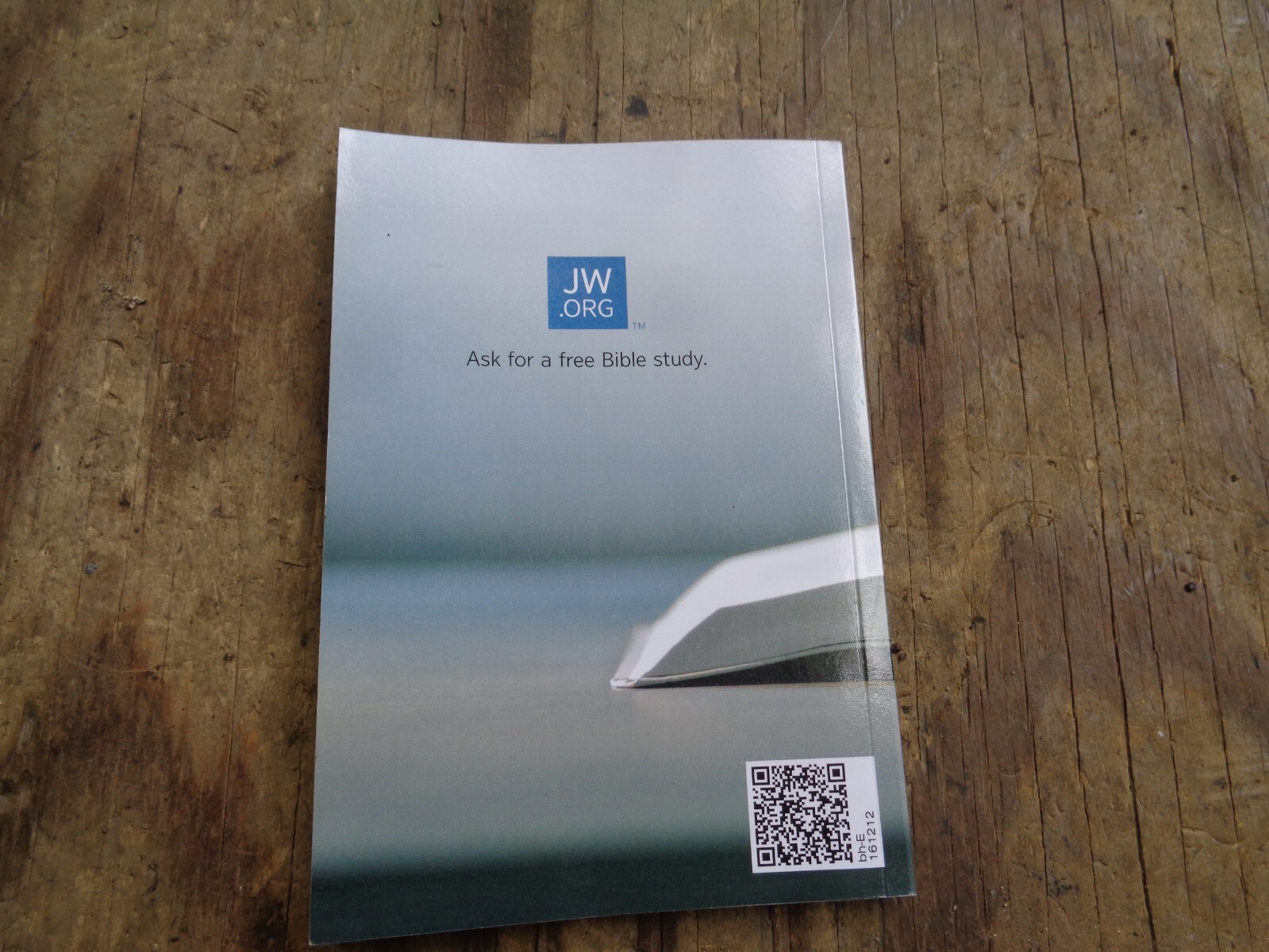 „WHAT DOES THE BIBLE REALLY TEACH?“. 2016. 223 pages. Paperback. Watchtower