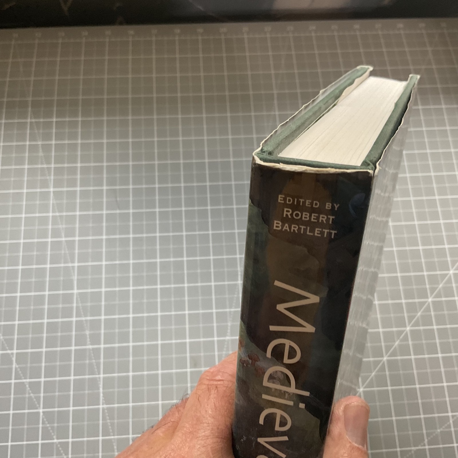 Medieval Panorama by Robert Bartlett 2001 HC/DJ