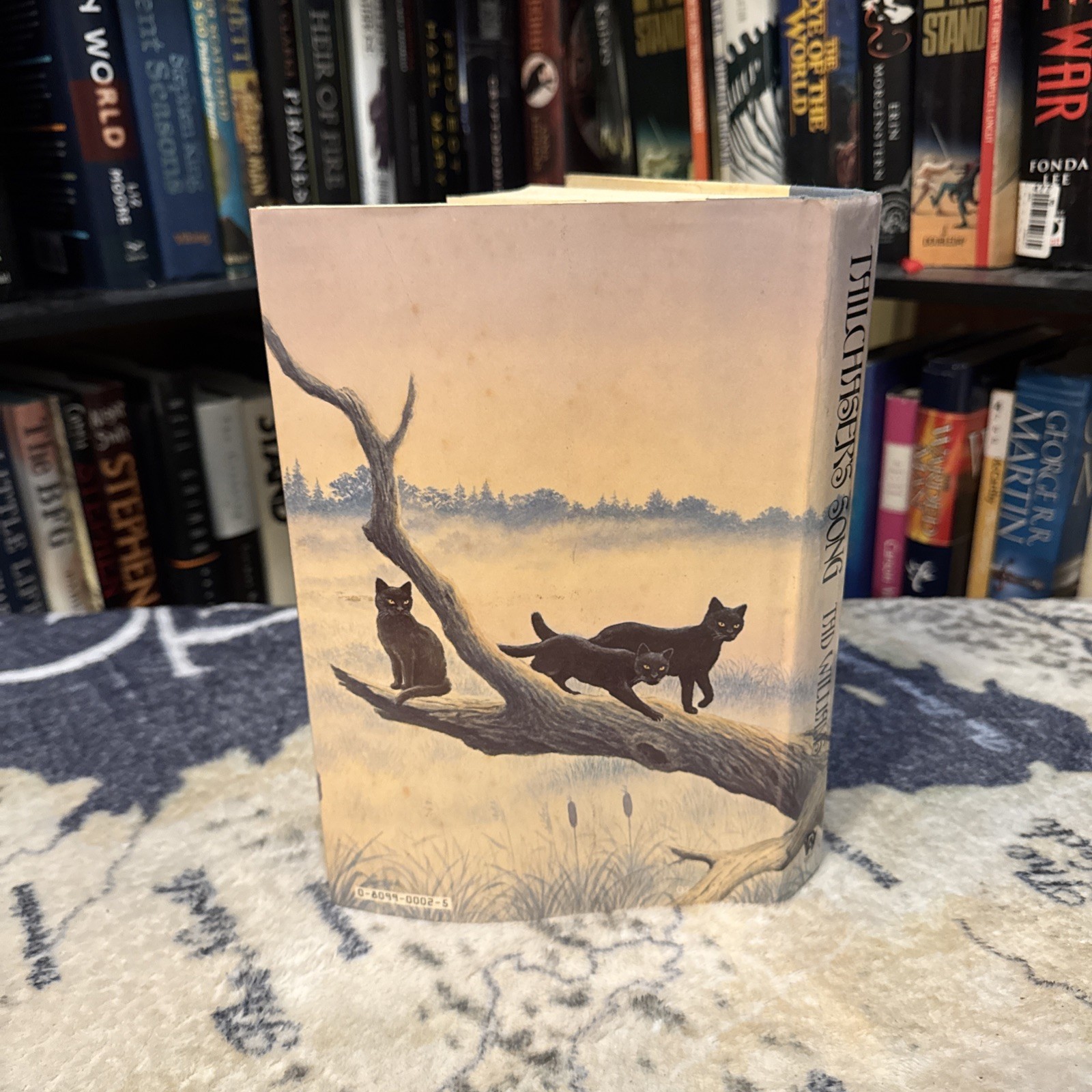 Tailchaser’s Song – Tad Williams (1985, Hardcover) First Edition/1st Print, HCDJ