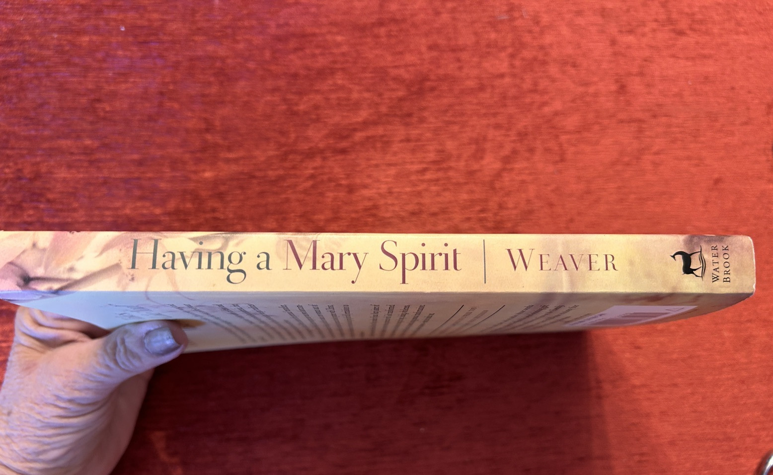 Having a Mary Spirit by Joanna Weaver (2006 : TPB ) First Edition