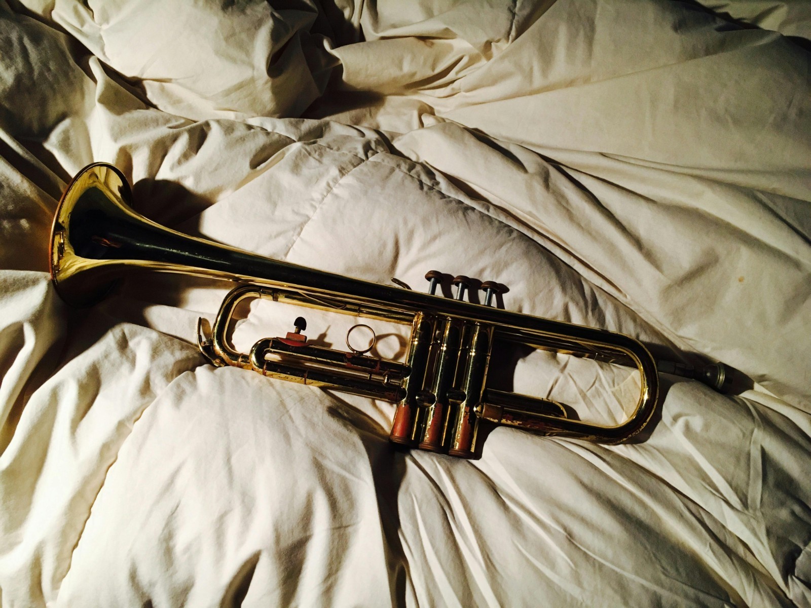 FREE Donkey Explains 7 Trumpets of Revelation (No Need 2pay) Read In Description