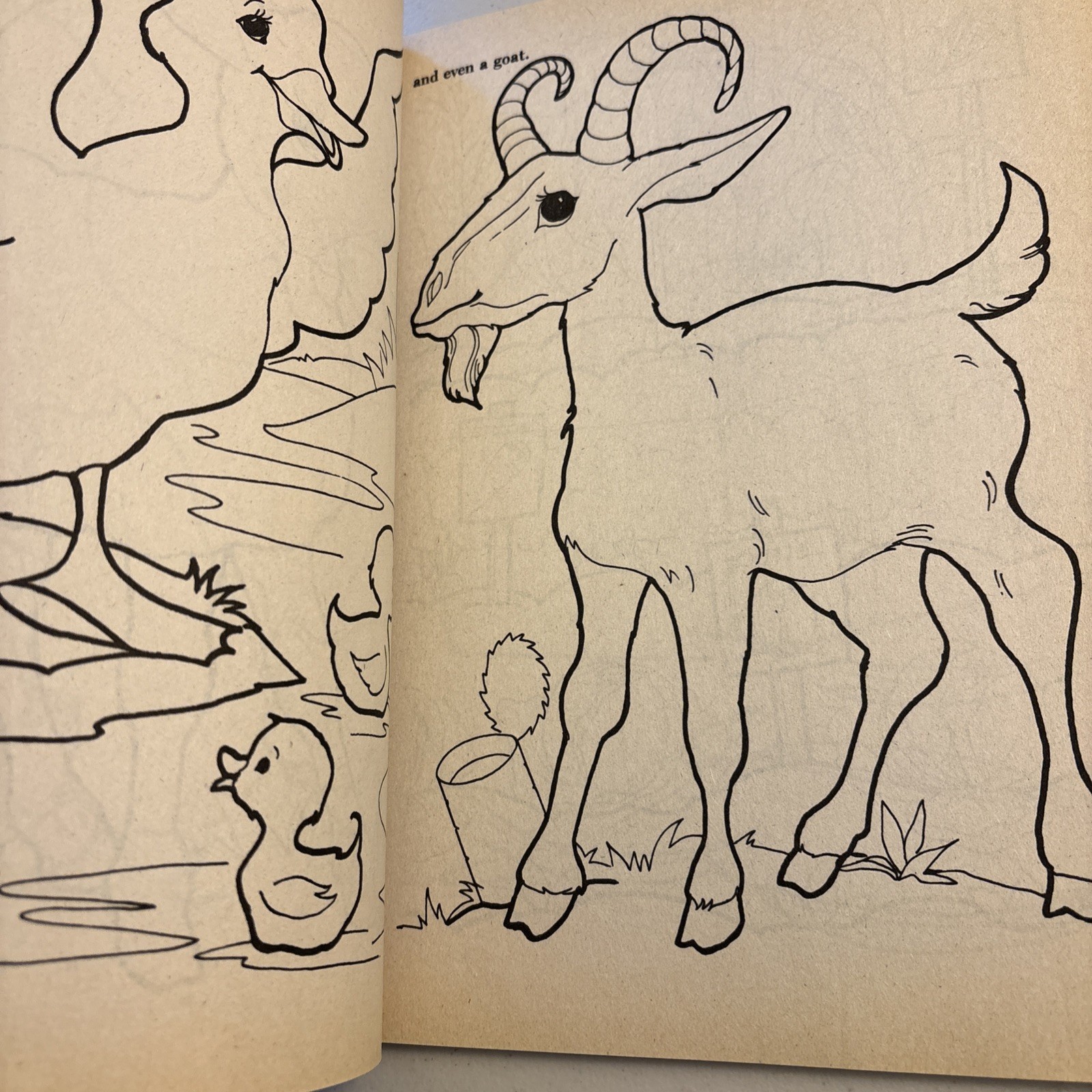 NEW Vintage Golden Coloring Book Preschool FARM Animals 1988 Unused Color Barns