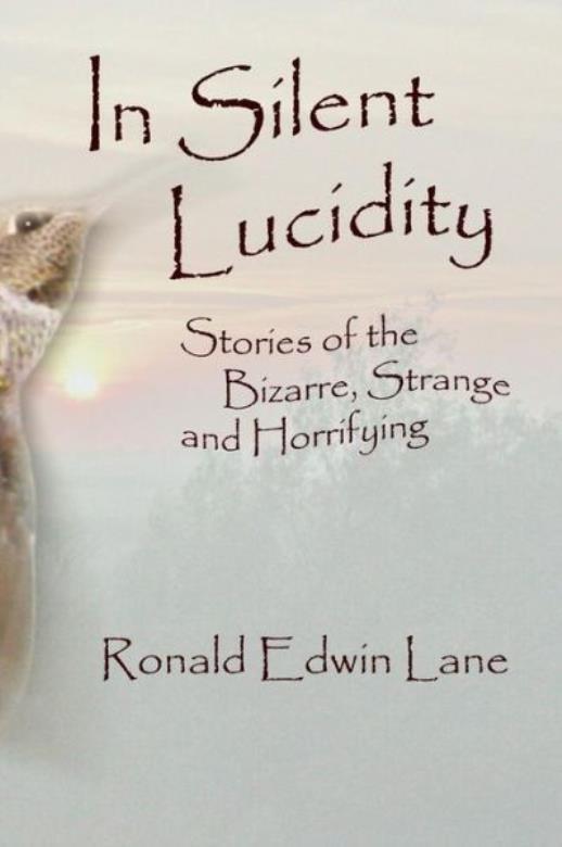 In Silent Lucidity