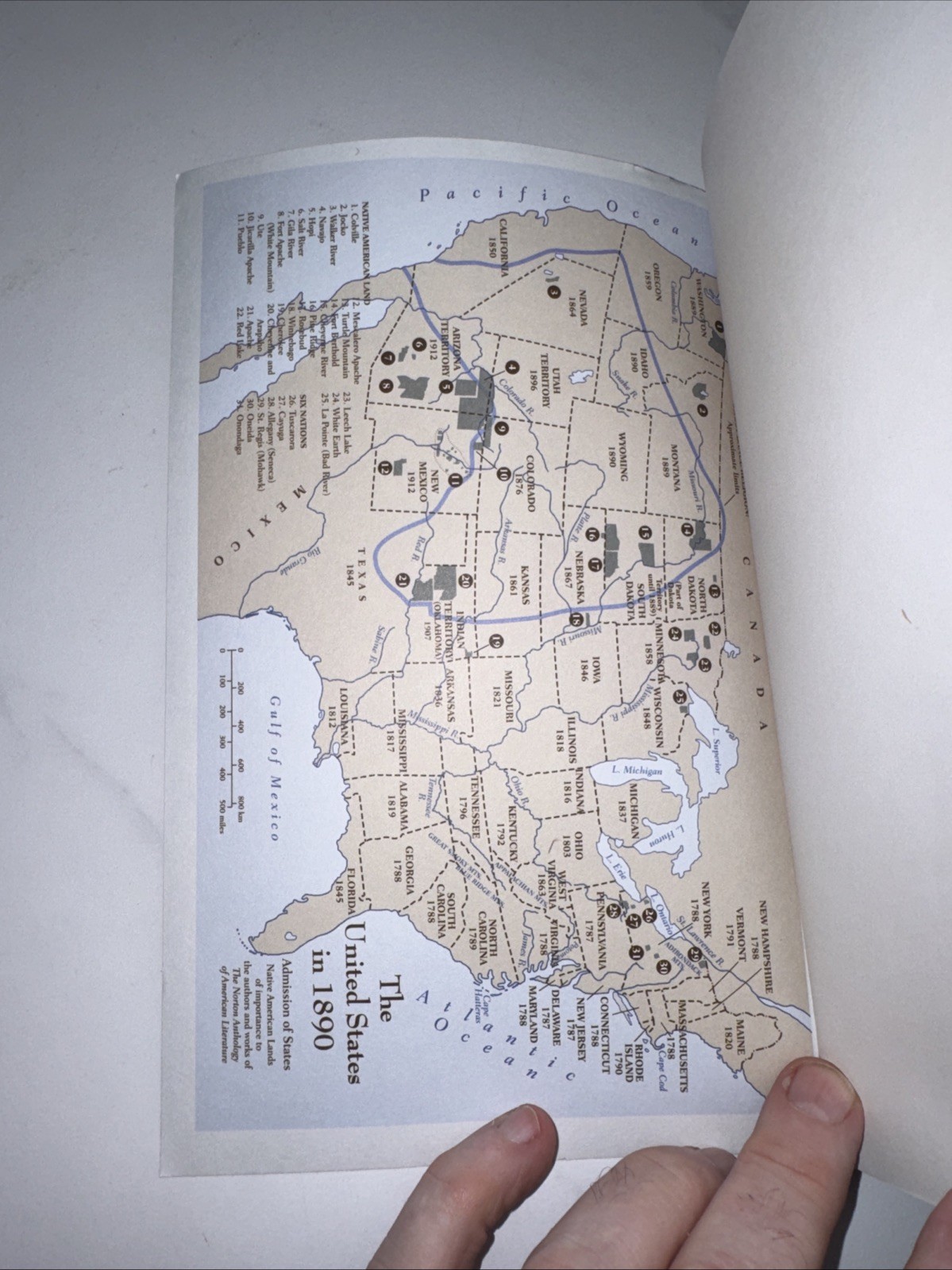 Norton Anthology of American Literature : 1865 to the Present