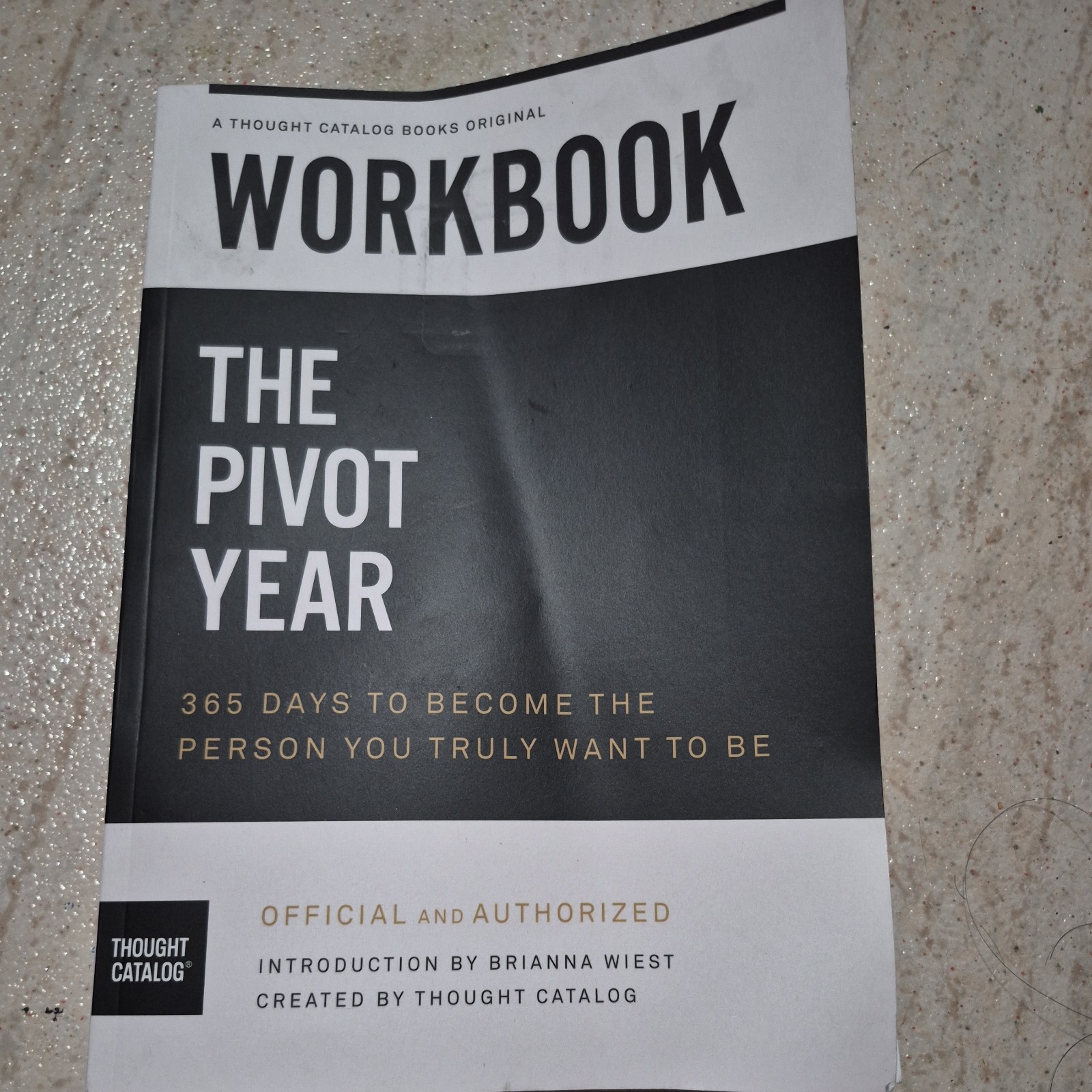 Workbook: The Pivot Year: 365 Days To Become The Person You Truly Want to Be by
