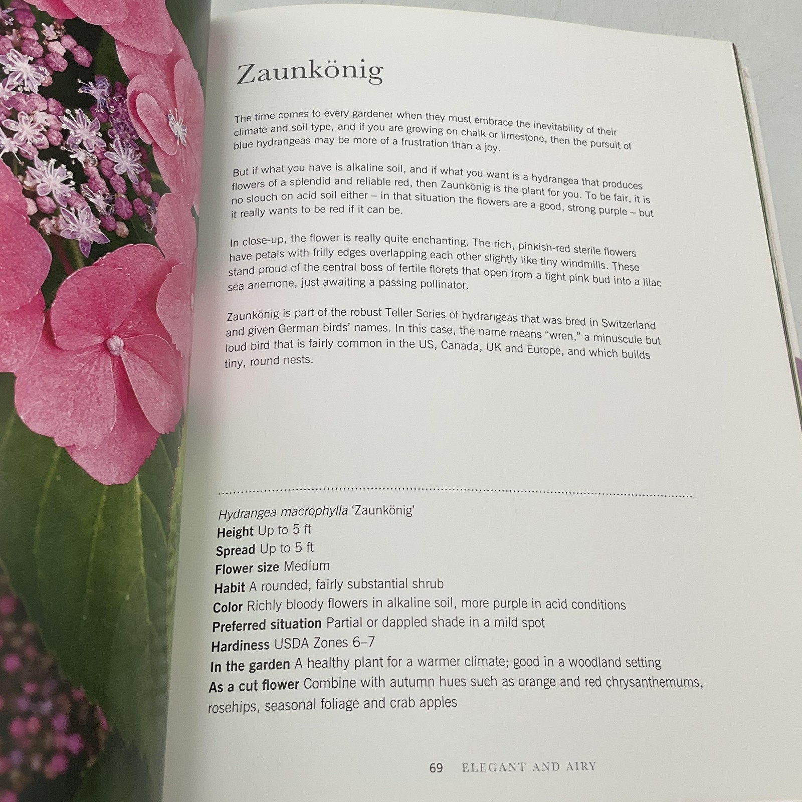Hydrangeas: Beautiful Varieties For Home & Garden By Naomi Slade HC Gibbs Smith