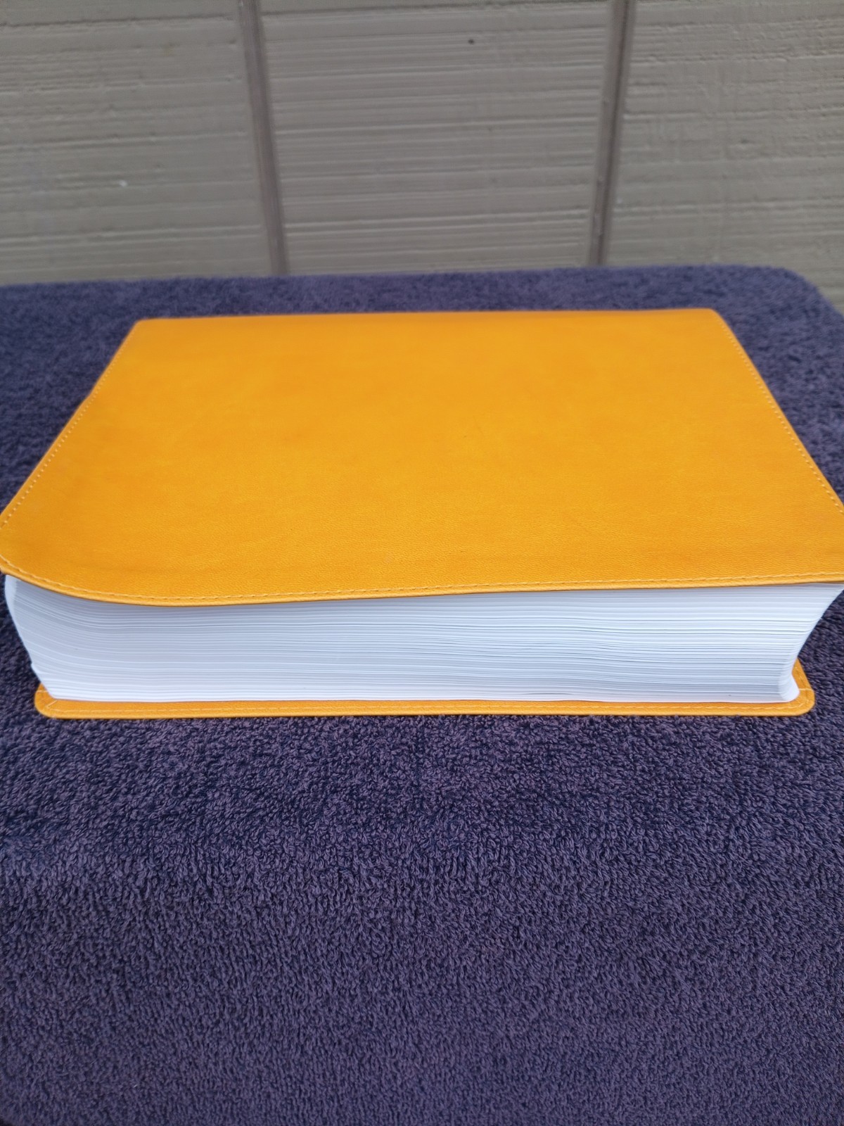 CBS Christian Standard Lifeway Women’s Bible Marigold LeatherTouch READ DESCRIPT