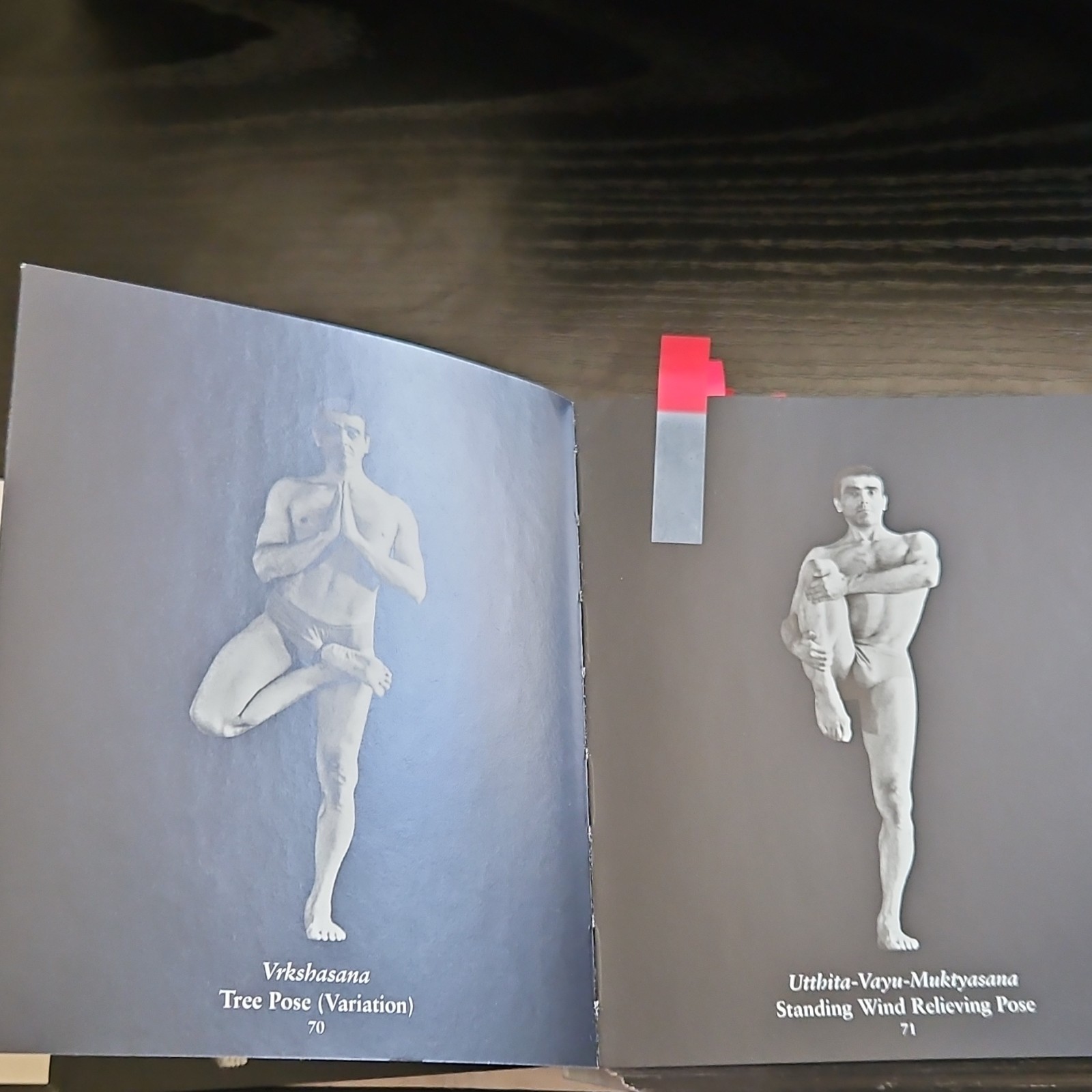 Asanas: 608 Yoga Poses by Dharma Mittra, Paperback, New World Library, 2003