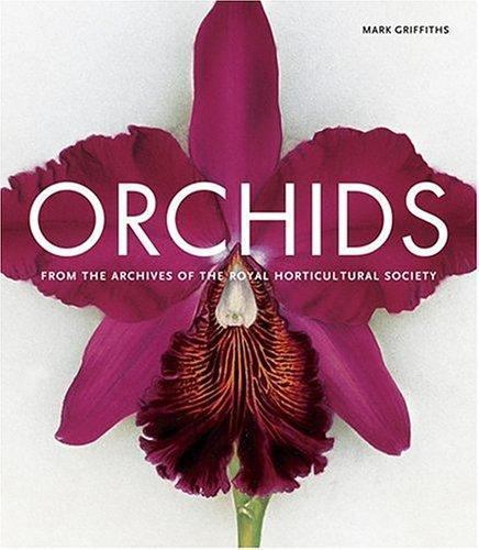 Orchids by Mark Griffiths