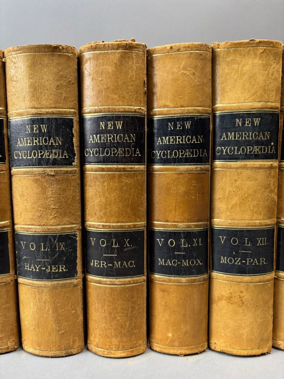 The New American Cyclopedia Compl 16 Vol Set D. Appleton & Co Early 1861 Leather