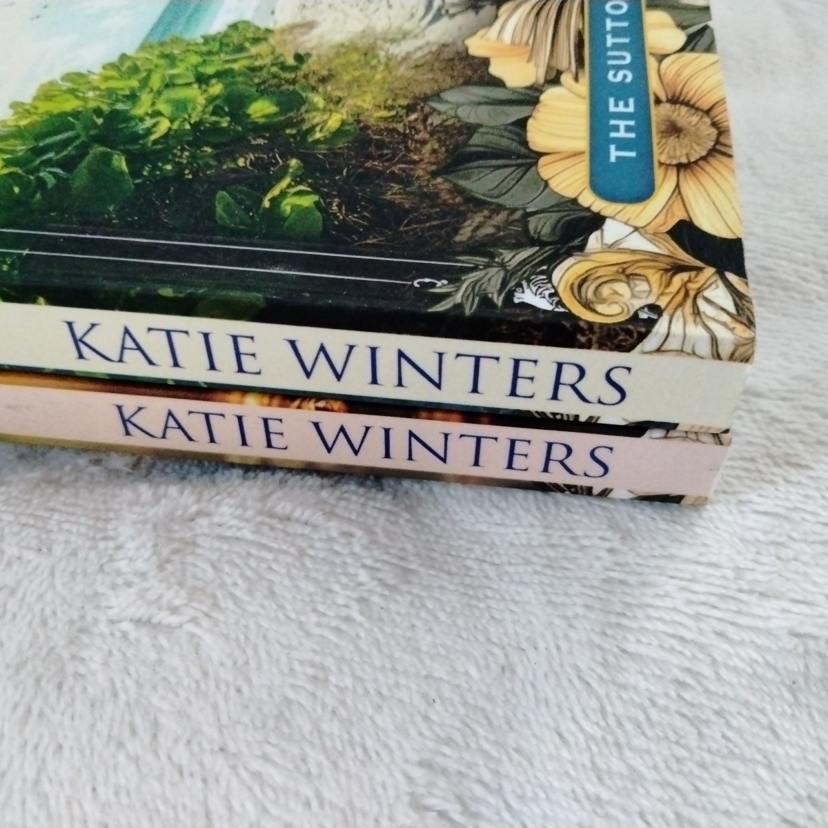 Katie Winters Book Lot Of 2 PB Against Current Blink Of Time Sutton Book Club