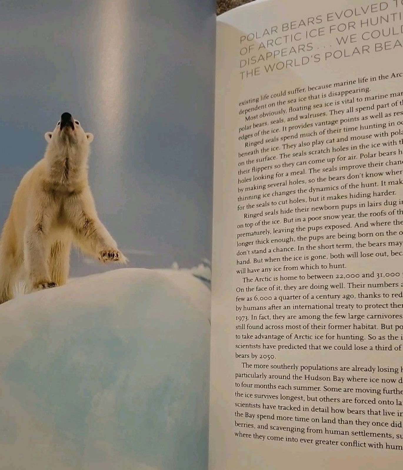 Our Planet by Alastair Fothergill, Keith Scholey, et al. (Hardcover, 2019)